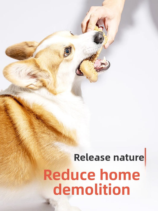 Dog Chew Toys for Dental Health Bite Resistant