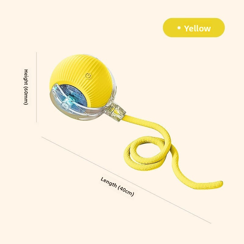 Dog toys.