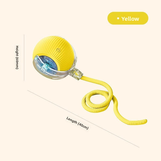 Dog toys.