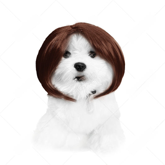 Pet Costume Wig