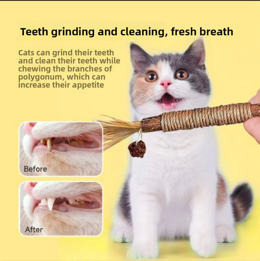 Natural Cotton Rope Cat Chew Toys with Catnip