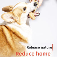 Dog Chew Toys for Dental Health Bite Resistant