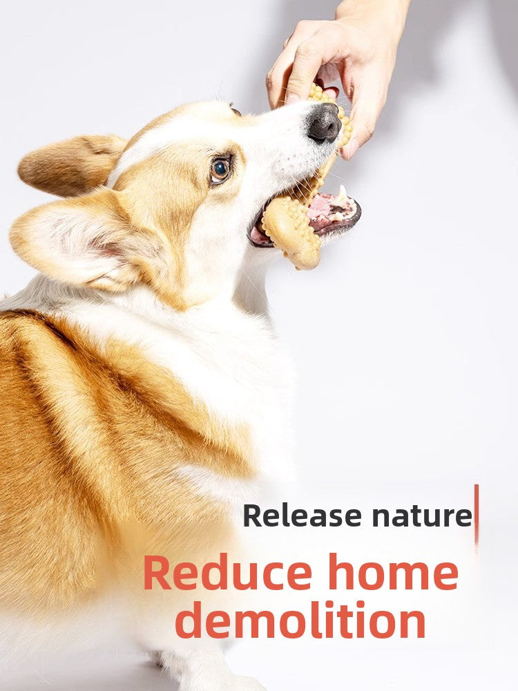 Dog Chew Toys for Dental Health Bite Resistant