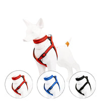Reflective Dog Leash and Collar Set
