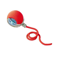 Dog toys.