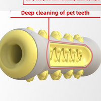 Dog Dental Chew Toy with Bristles