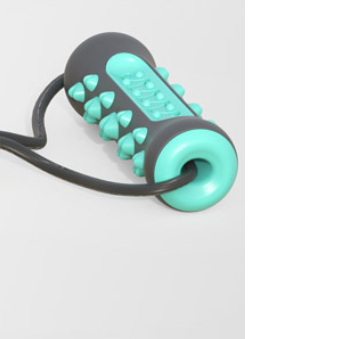 Dog Dental Chew Toy with Bristles