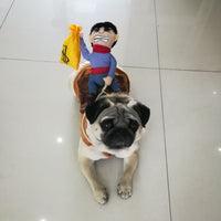 Funny Pet Riding Costume