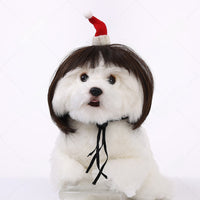 Pet Costume Wig