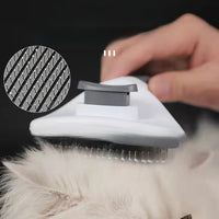Cat brush pet supplies
