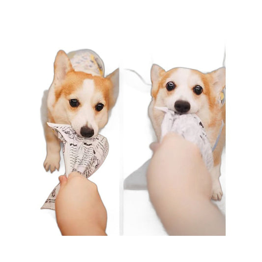 Dog teething newspaper toys
