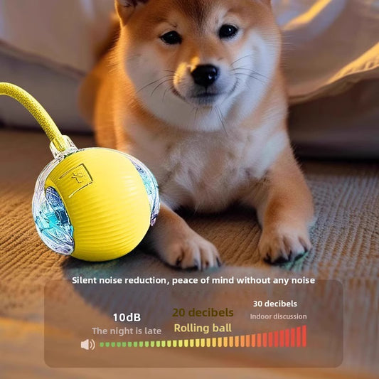 Dog toys.